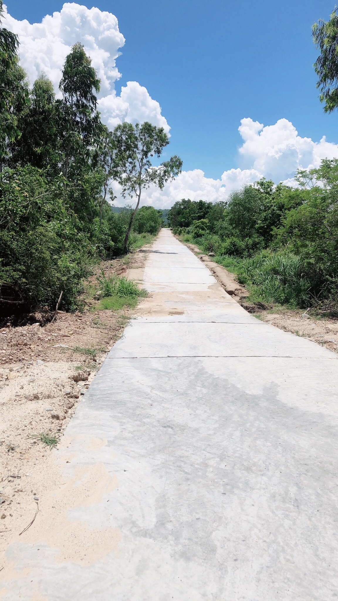 Ban Lo Dat Thon Phu Tho 2 Ninh Diem Ninh Hoa Khanh Hoa 6