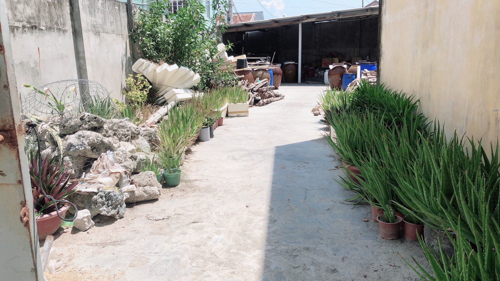 Ban Nha Thon Ngan Ha Cach Bien 15m Ninh Thuy Ninh Hoa 4