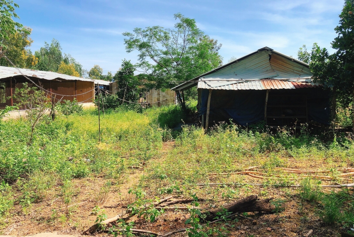 Ban Trang Trai Thon My Loi Ninh Tan Ninh Hoa Khanh Hoa 2