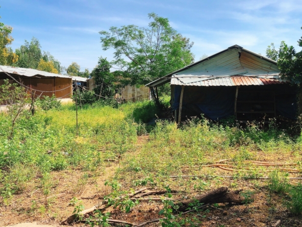 Ban Trang Trai Thon My Loi Ninh Tan Ninh Hoa Khanh Hoa 2