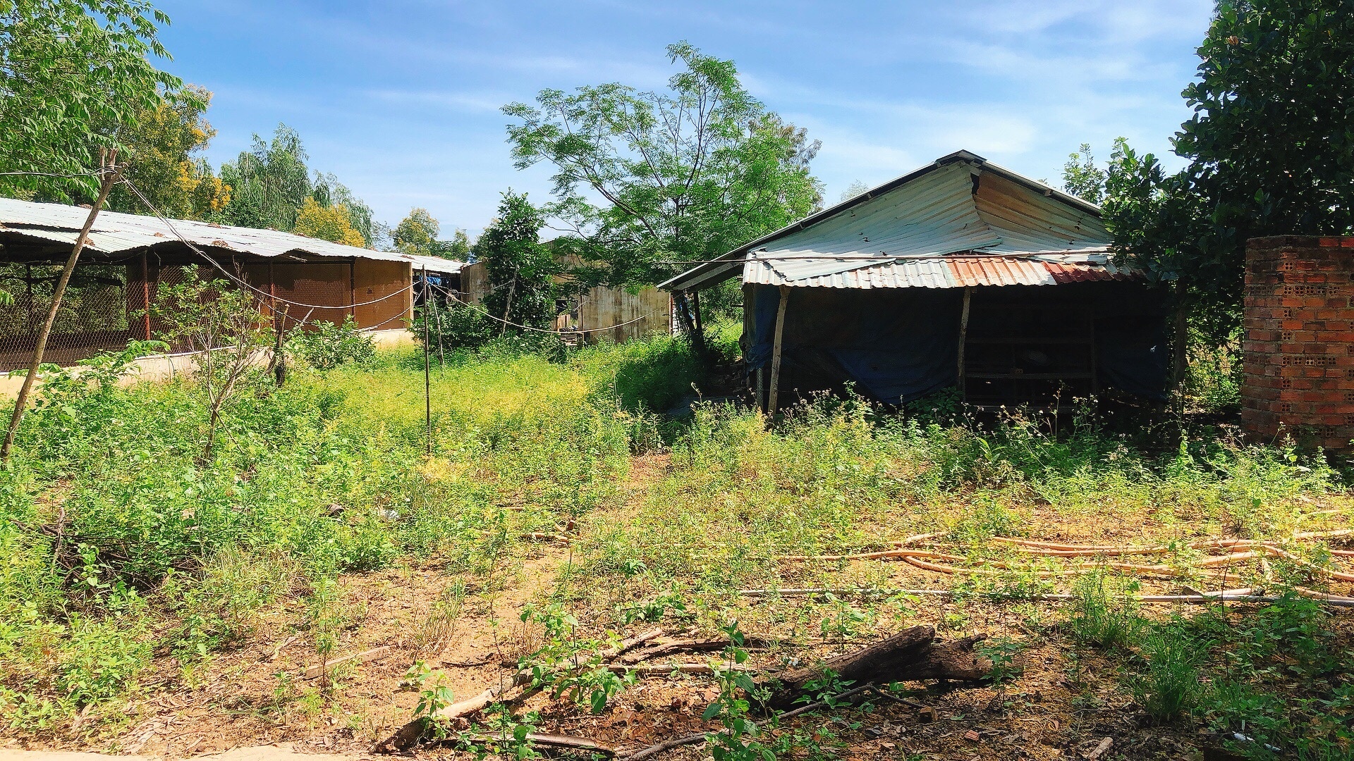 Ban Trang Trai Thon My Loi Ninh Tan Ninh Hoa Khanh Hoa 2