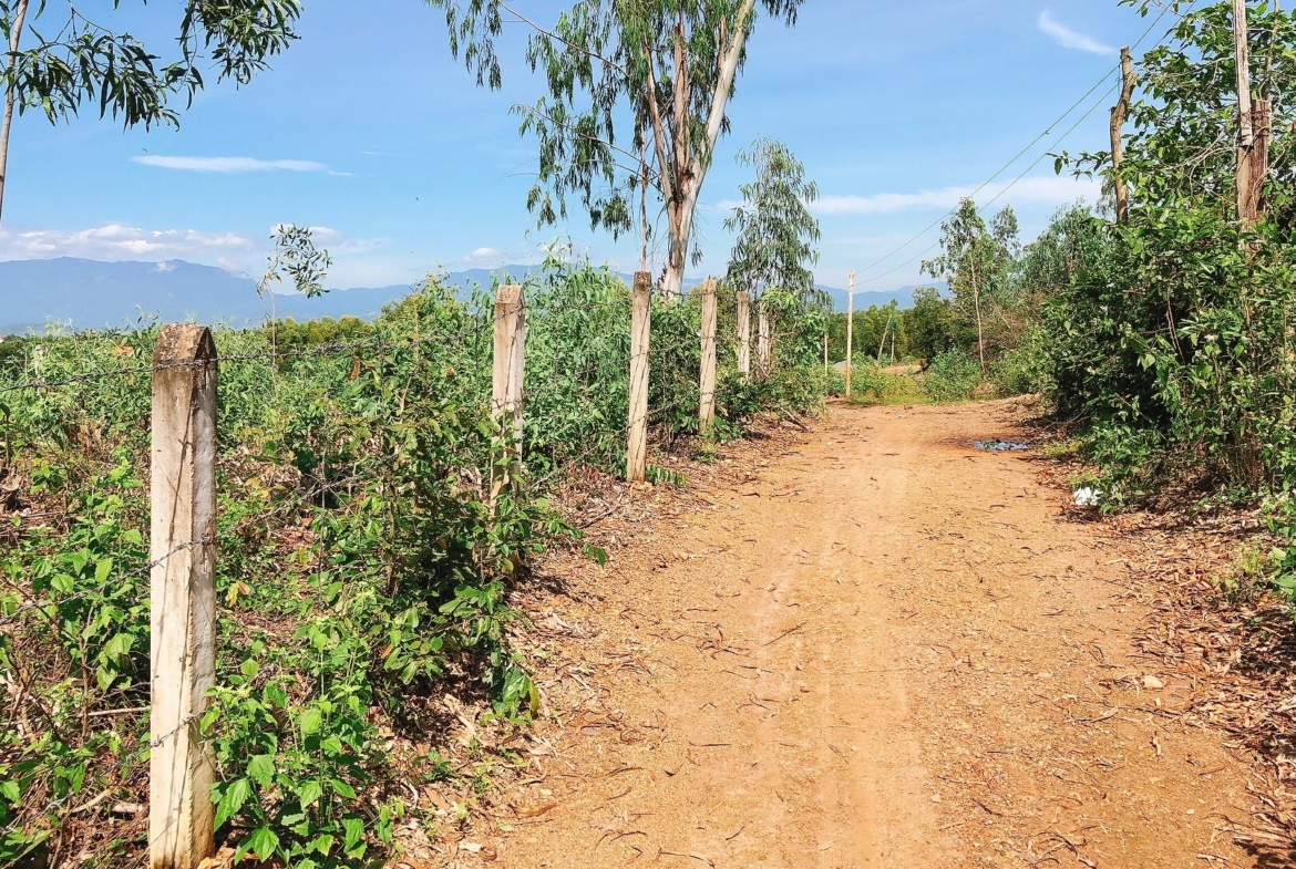 Ban Trang Trai Thon My Loi Ninh Tan Ninh Hoa Khanh Hoa 3