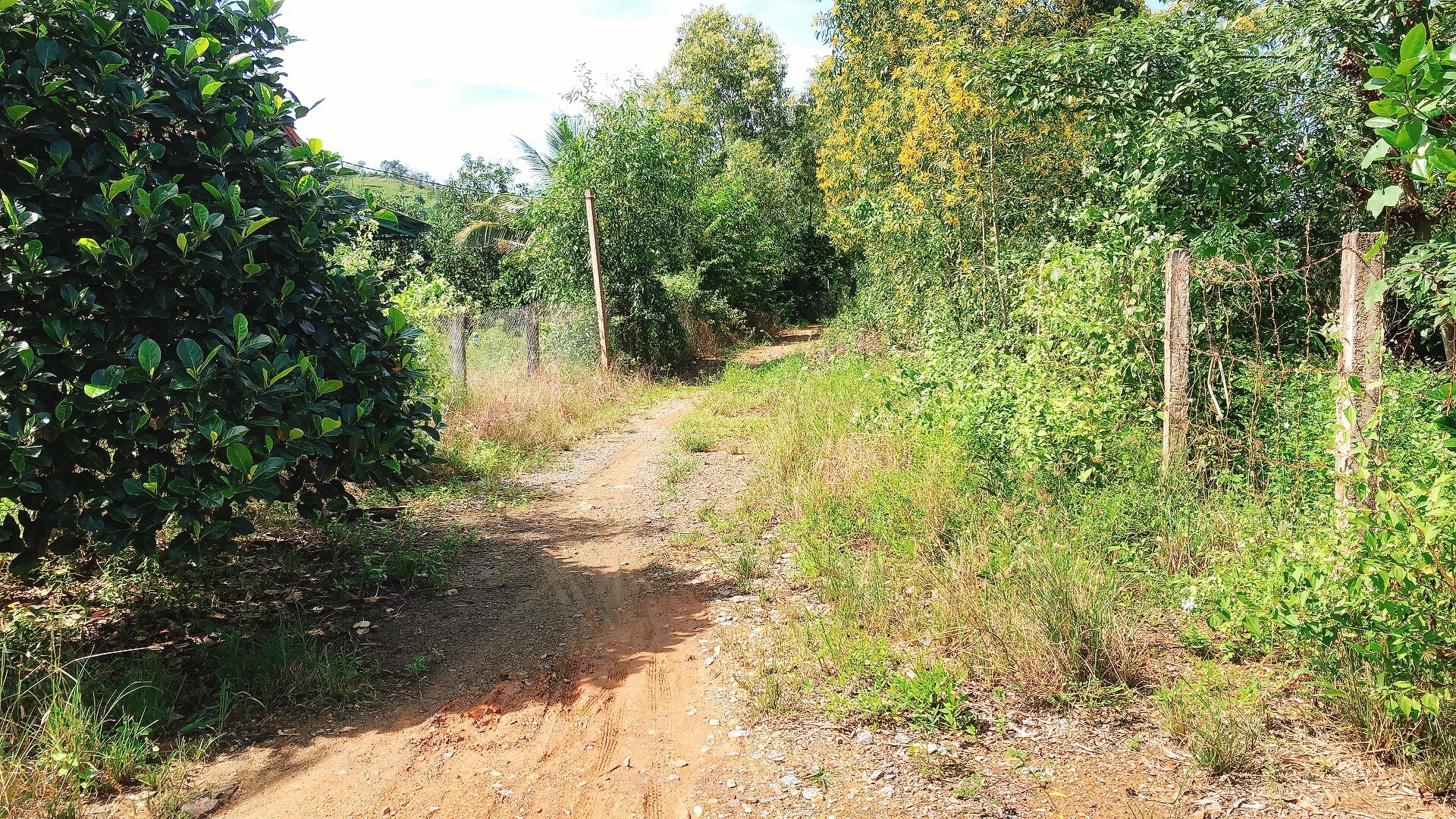 Ban Trang Trai Thon My Loi Ninh Tan Ninh Hoa Khanh Hoa 5