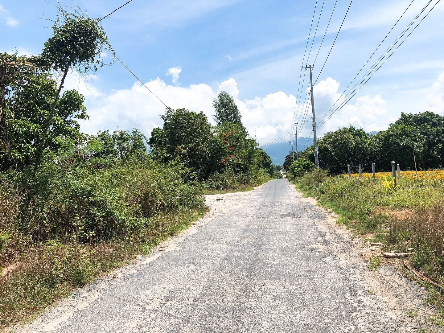 Ban Lo Dat Cln Quy Hoach Duoc Odt Tdp Tan Hoa 2 Cam Duc Cam Lam Khanh Hoa 1