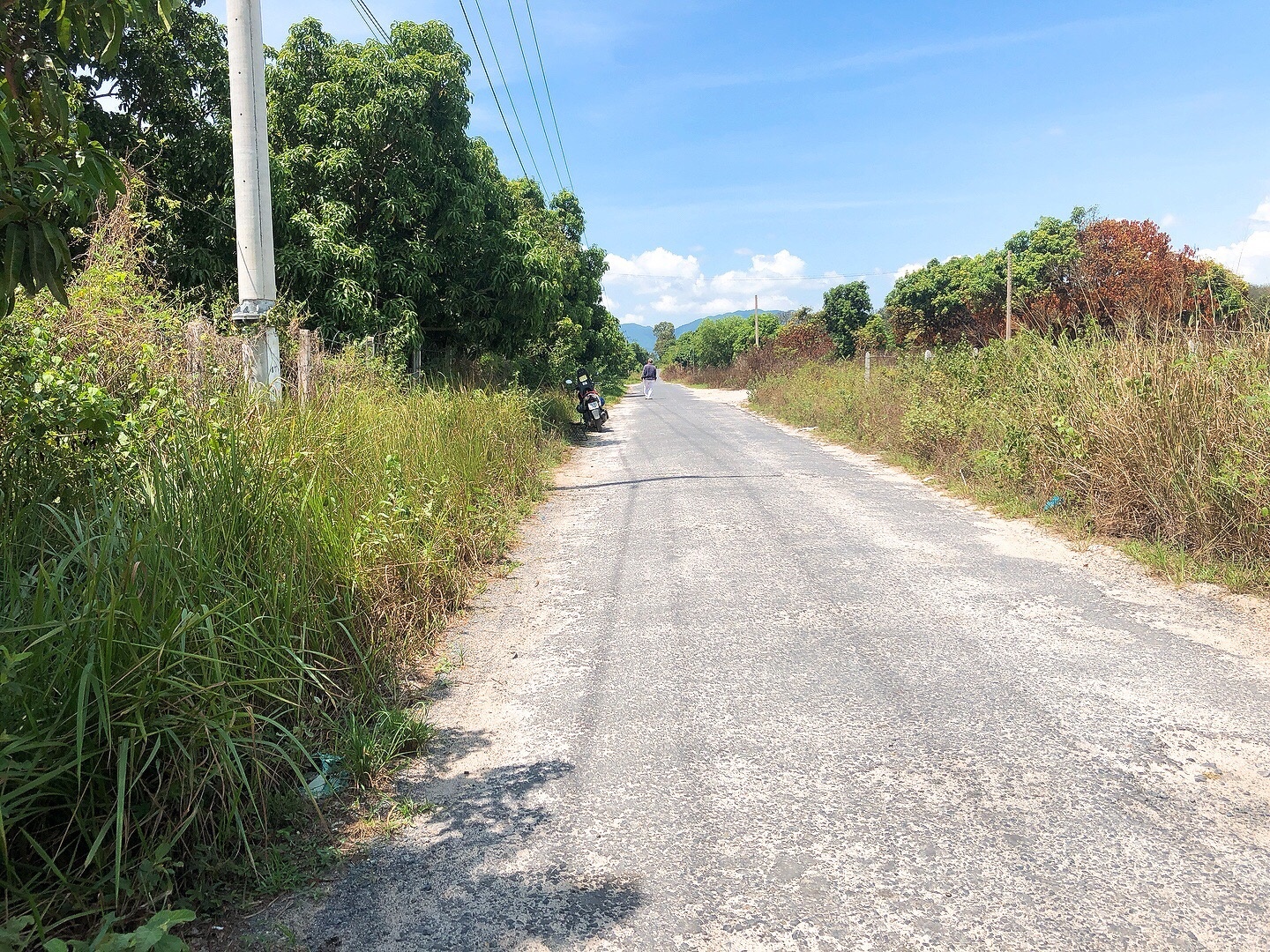 Ban Lo Dat Cln Quy Hoach Duoc Odt Tdp Tan Hoa 2 Cam Duc Cam Lam Khanh Hoa 2