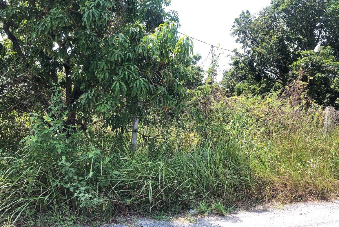 Ban Lo Dat Cln Quy Hoach Duoc Odt Tdp Tan Hoa 2 Cam Duc Cam Lam Khanh Hoa 3