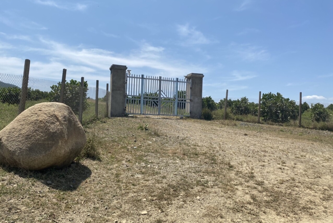 Ban Ray Quy Hoach Duoc Cln Thon Tan Hung Ninh Hung Ninh Hoa Khanh Hoa 1