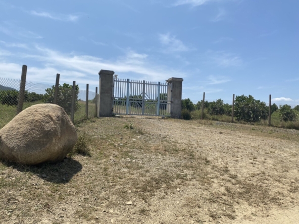 Ban Ray Quy Hoach Duoc Cln Thon Tan Hung Ninh Hung Ninh Hoa Khanh Hoa 1