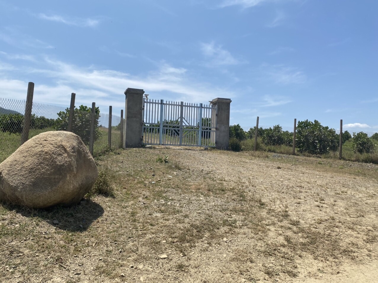 Ban Ray Quy Hoach Duoc Cln Thon Tan Hung Ninh Hung Ninh Hoa Khanh Hoa 1