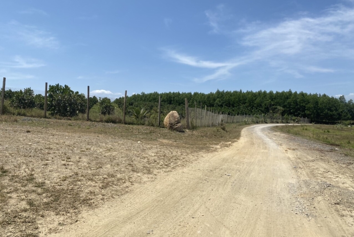 Ban Ray Quy Hoach Duoc Cln Thon Tan Hung Ninh Hung Ninh Hoa Khanh Hoa 3