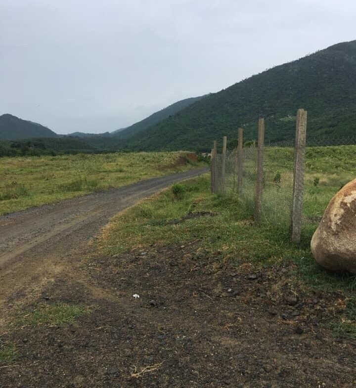 Ban Ray Quy Hoach Duoc Cln Thon Tan Hung Ninh Hung Ninh Hoa Khanh Hoa 5
