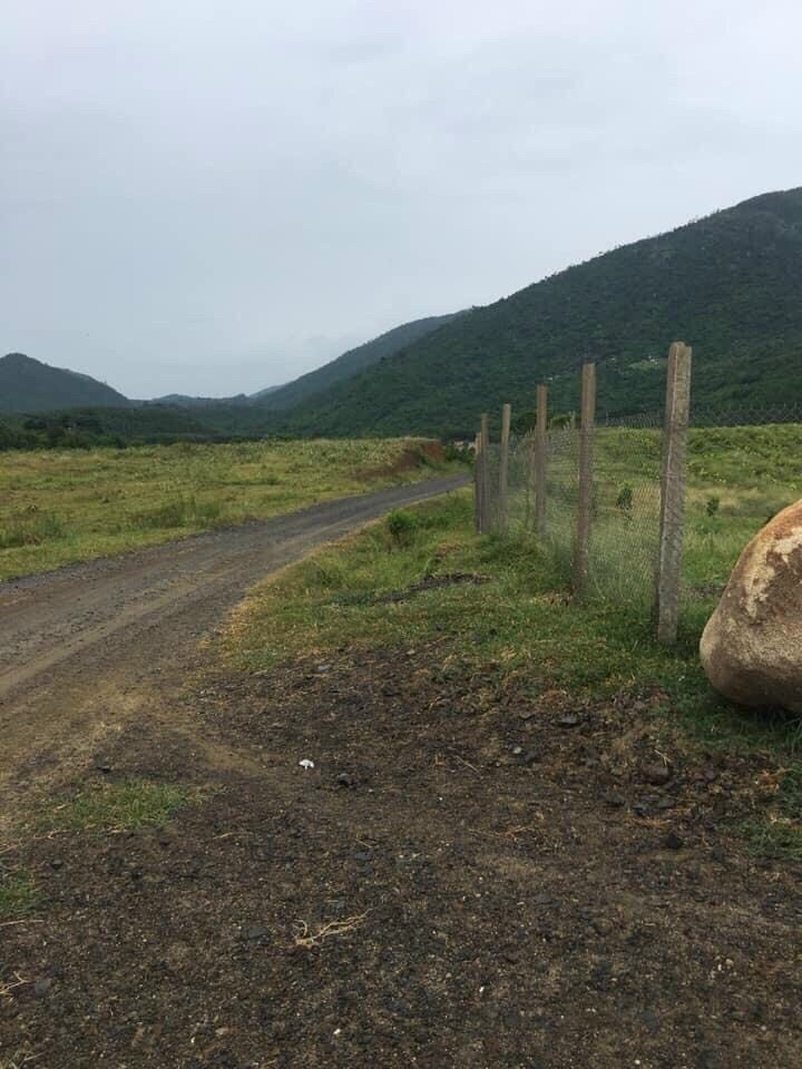 Ban Ray Quy Hoach Duoc Cln Thon Tan Hung Ninh Hung Ninh Hoa Khanh Hoa 5