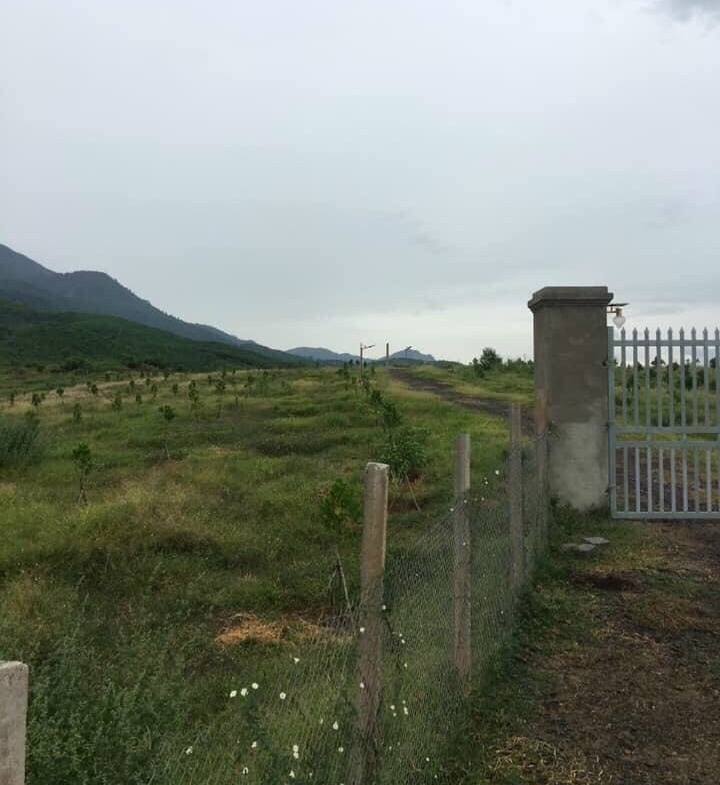 Ban Ray Quy Hoach Duoc Cln Thon Tan Hung Ninh Hung Ninh Hoa Khanh Hoa 6