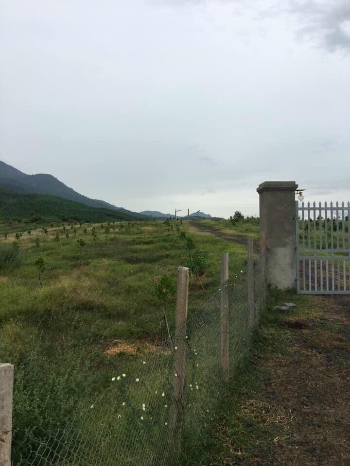 Ban Ray Quy Hoach Duoc Cln Thon Tan Hung Ninh Hung Ninh Hoa Khanh Hoa 6