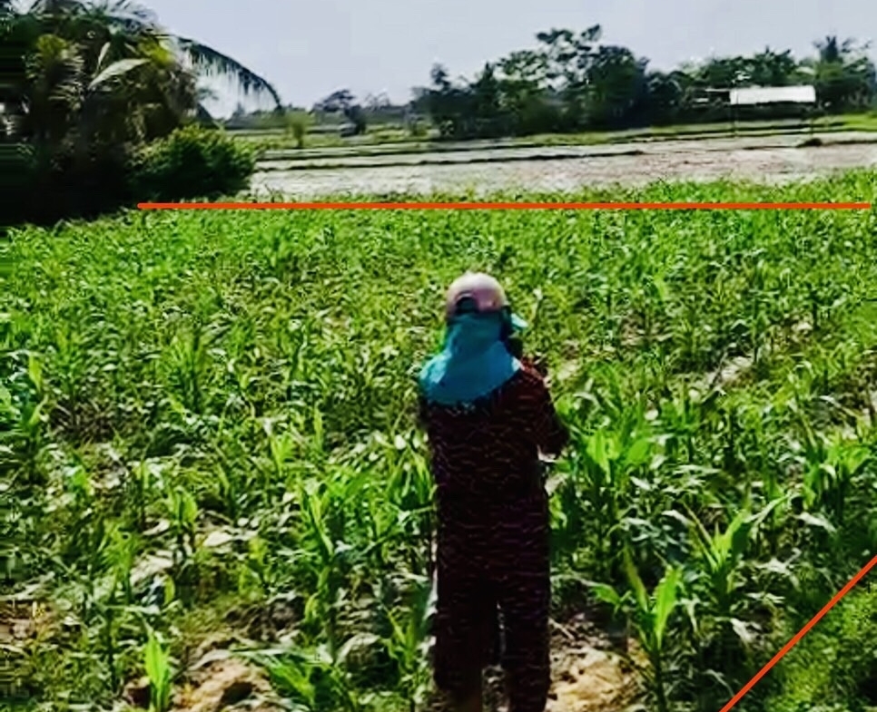 Ban Ruong Quy Hoach Full Tho Cu Thon Phu Gia Ninh An Ninh Hoa Khanh Hoa 2