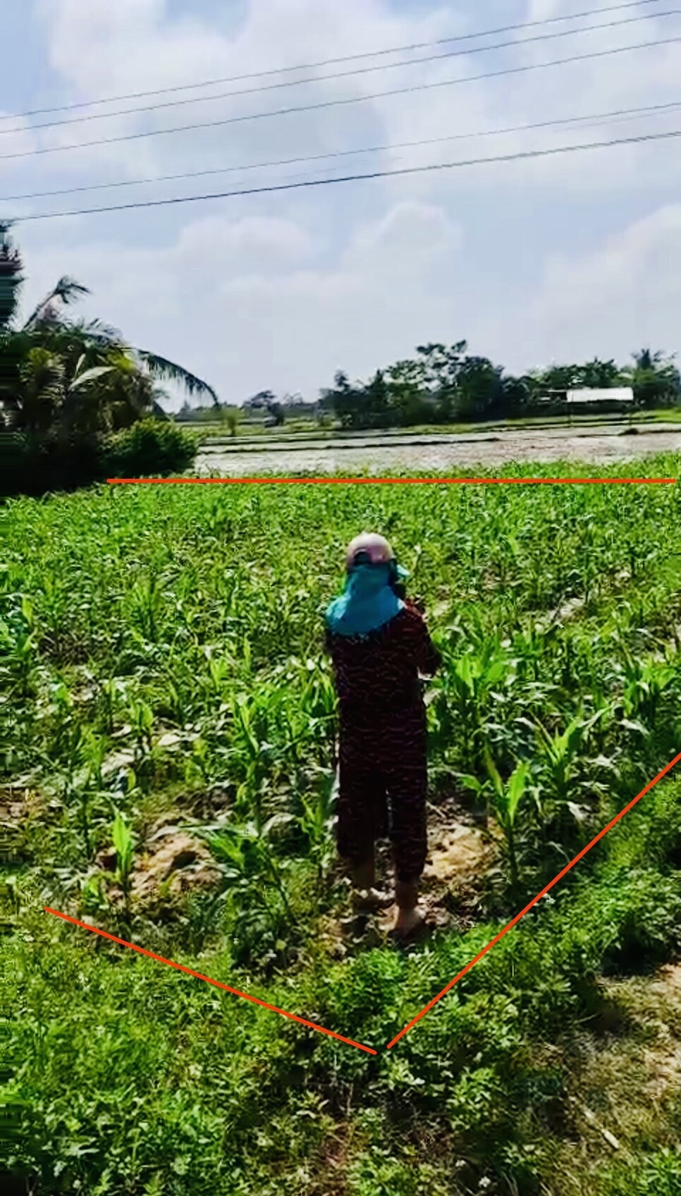 Ban Ruong Quy Hoach Full Tho Cu Thon Phu Gia Ninh An Ninh Hoa Khanh Hoa 2