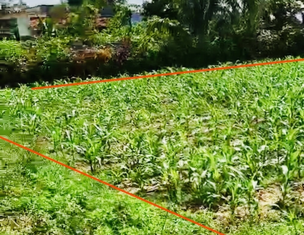 Ban Ruong Quy Hoach Full Tho Cu Thon Phu Gia Ninh An Ninh Hoa Khanh Hoa 3